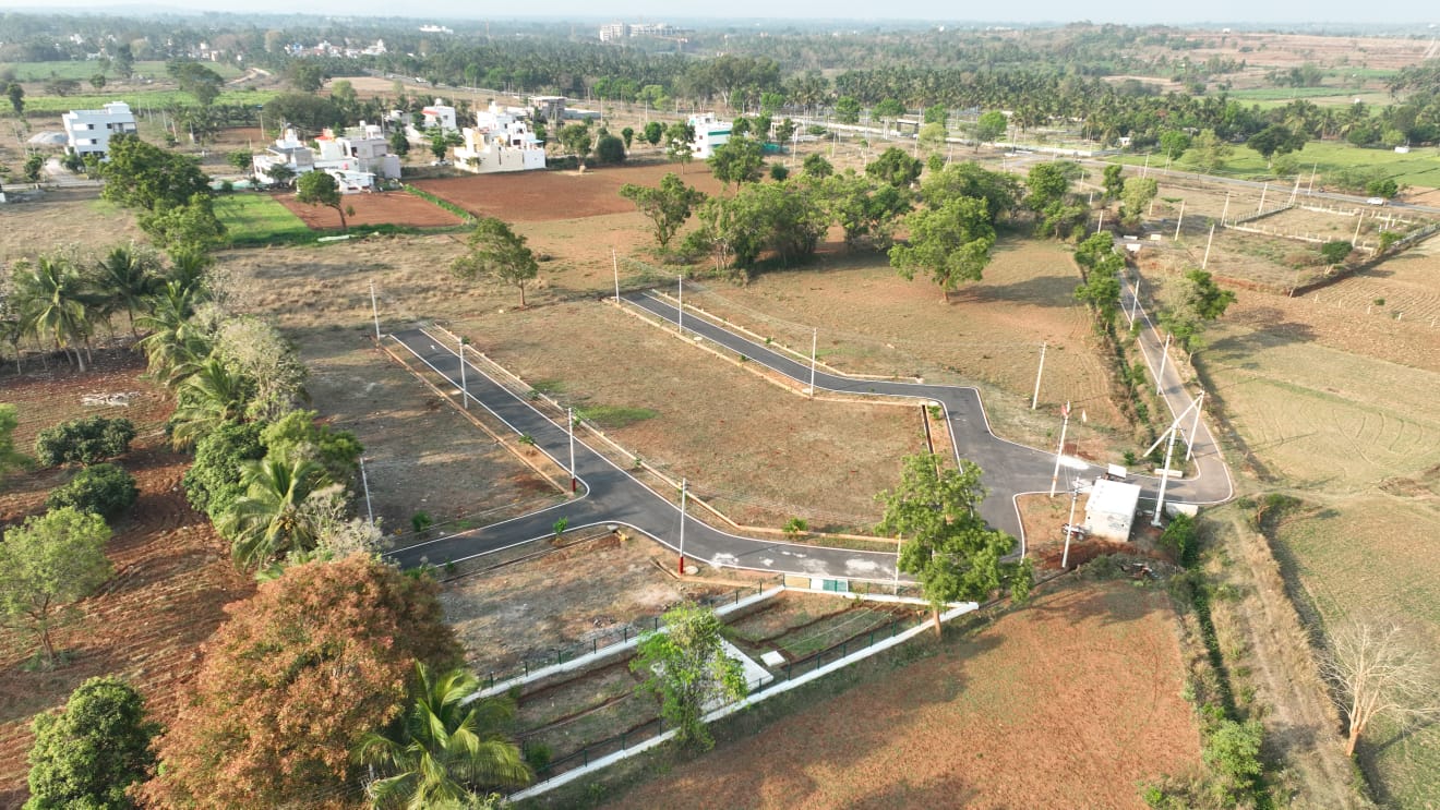 Plot 1